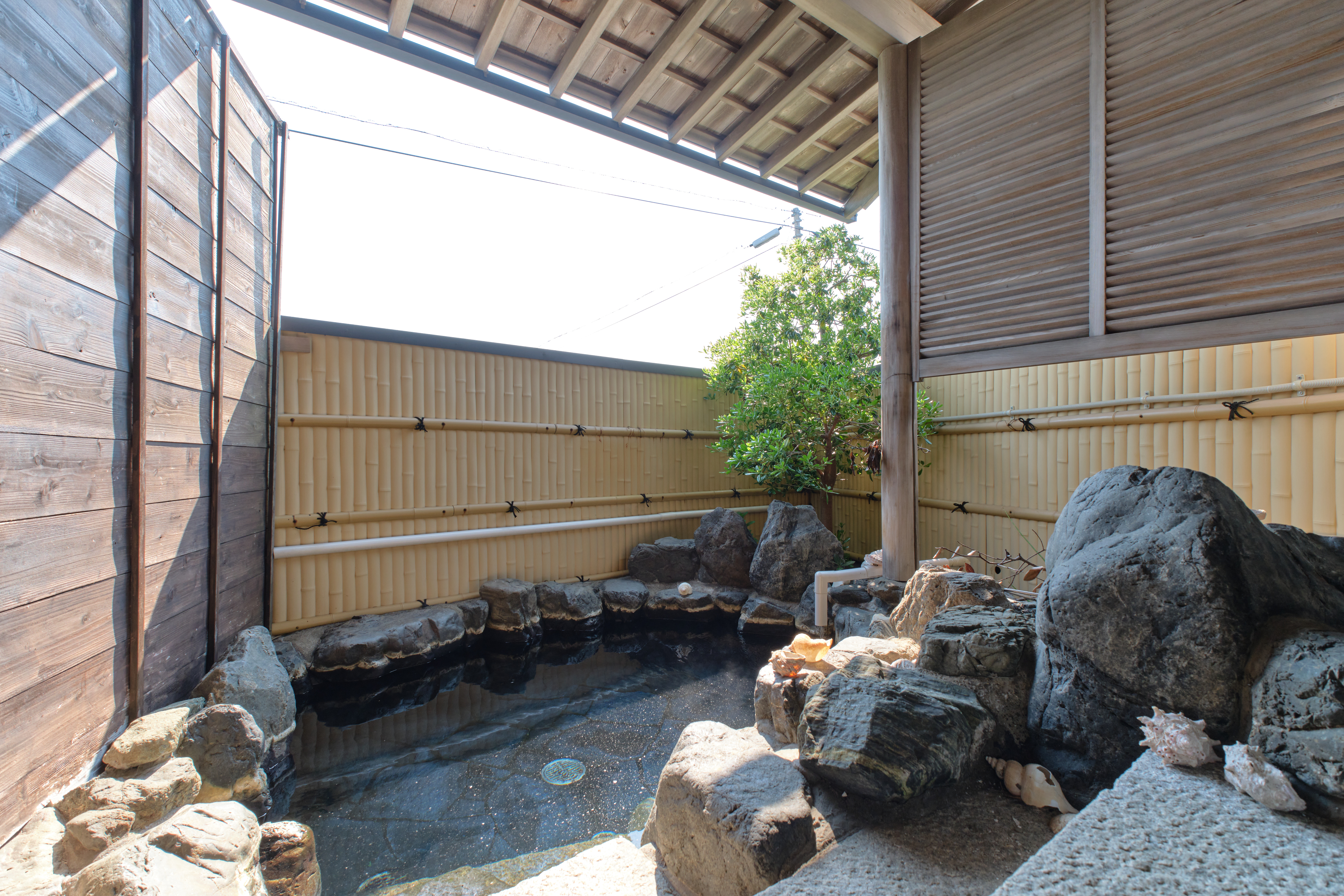 picture of 本館ゲストハウスこばま荘-あさり-